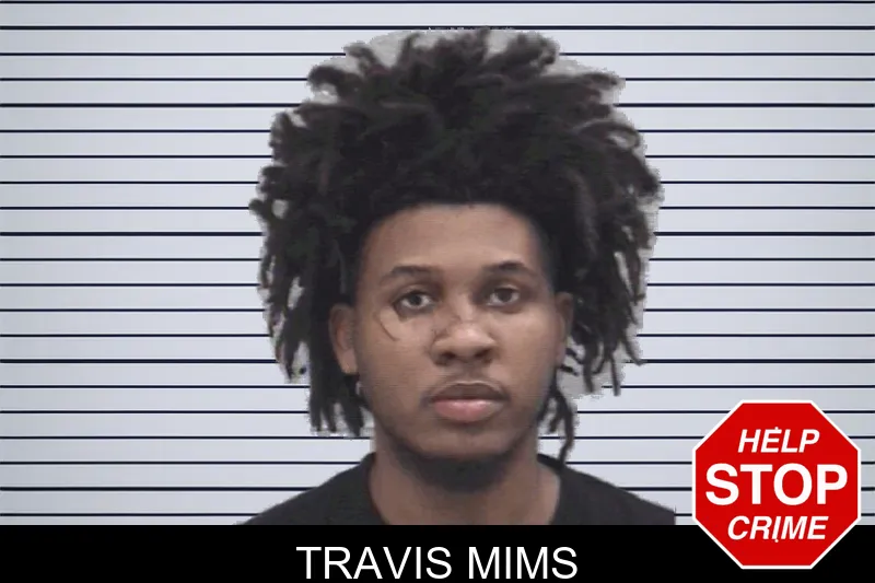 Travis Mims mugshot