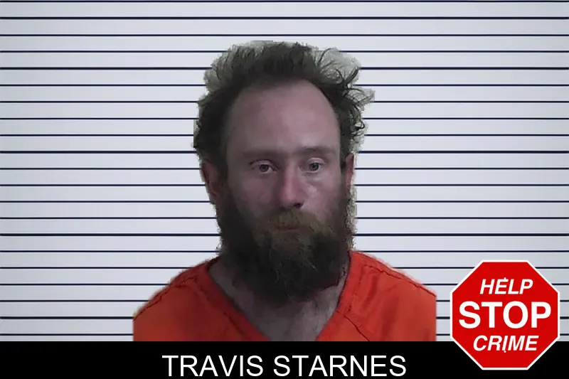 Travis Starnes mugshot
