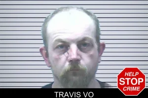 Travis Vo mugshot