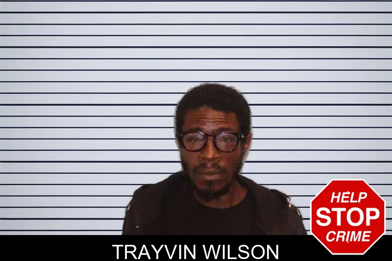 Trayvin Wilson mugshot