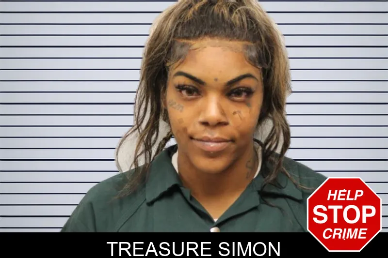 Treasure Simon mugshot
