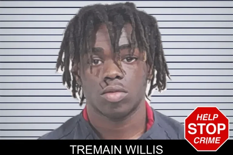 Tremain Willis mugshot – Lowndes County , Georgia Tremain Willis