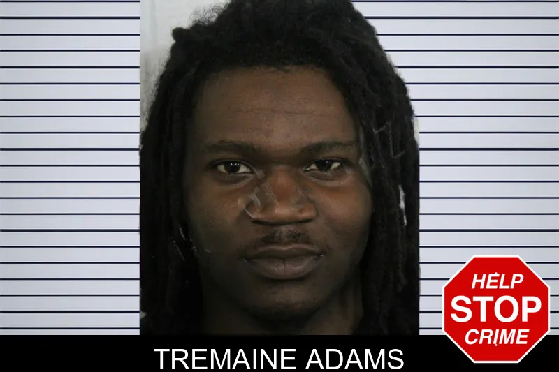 Tremaine Adams mugshot
