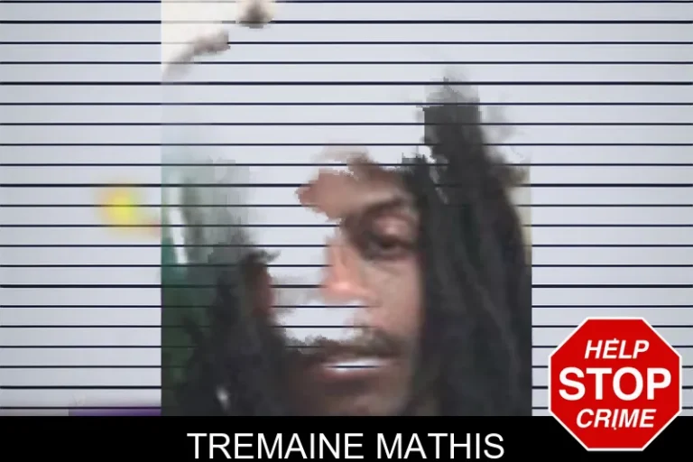 Tremaine Mathis mugshot – Henry County , Georgia Tremaine Mathis