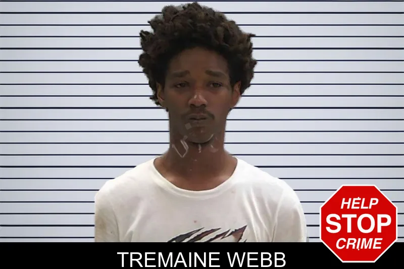 Tremaine Webb mugshot