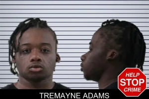 Tremayne Adams mugshot