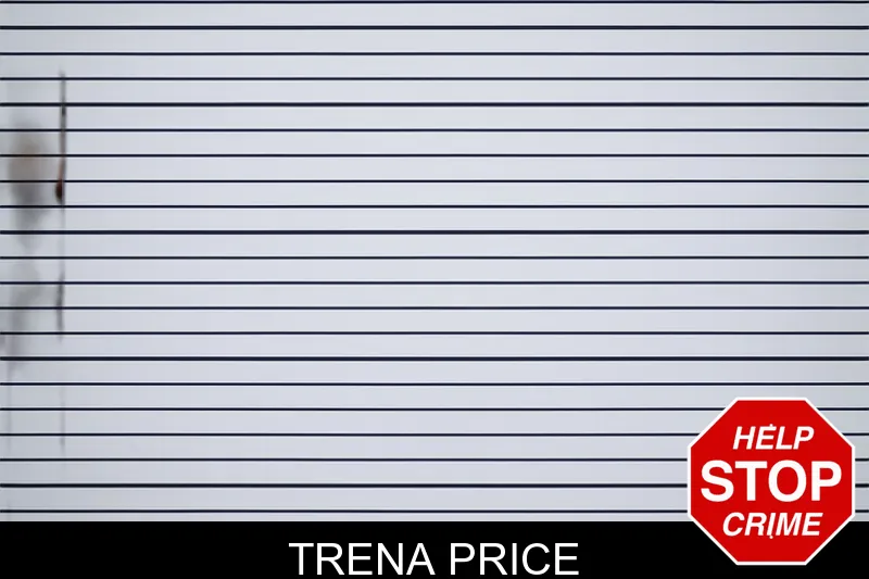Trena Price mugshot