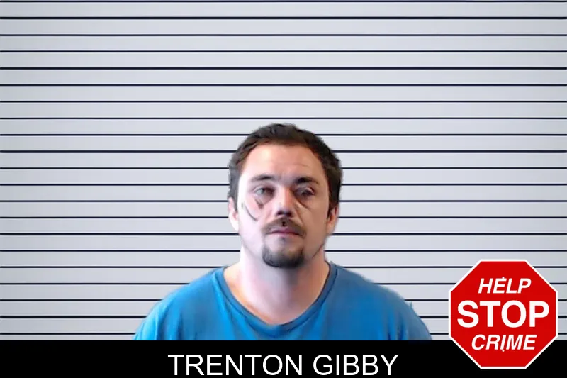 Trenton Gibby mugshot