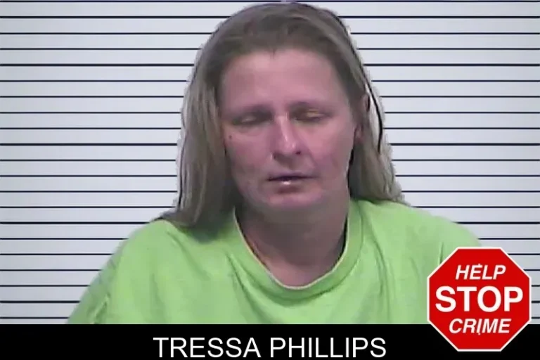 Tressa Phillips mugshot – Dawson County , Georgia Tressa Phillips