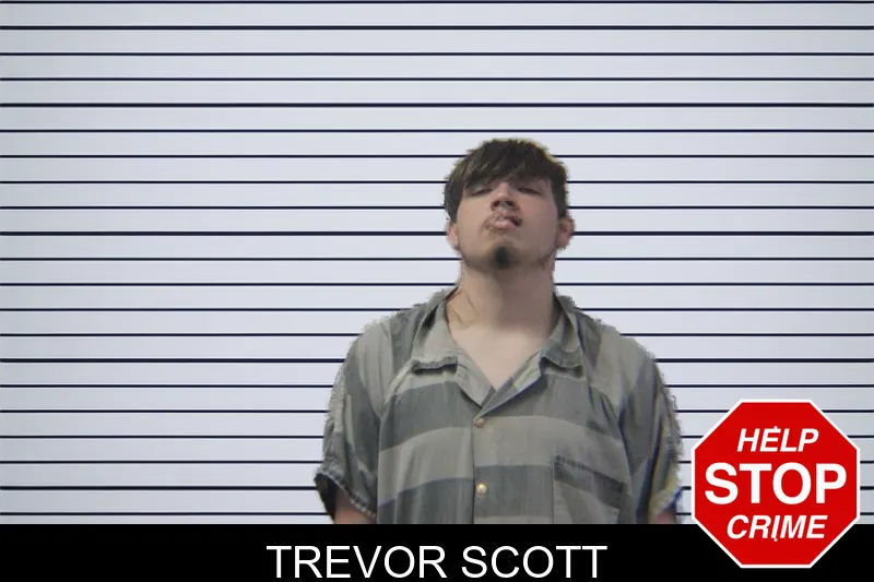 Trevor Scott mugshot – Stephens County , Georgia Trevor Scott mugshot