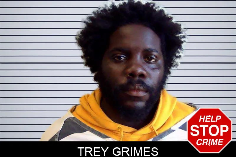 Trey Grimes mugshot – Evans County , Georgia Trey Grimes mugshot