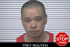 Trey Nguyen mugshot