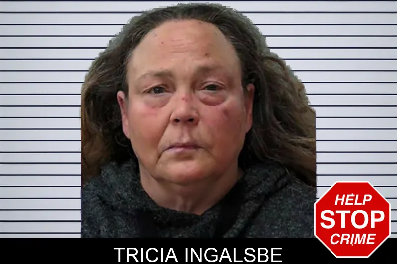 Tricia Ingalsbe mugshot – Towns County , Georgia Tricia Ingalsbe mugshot