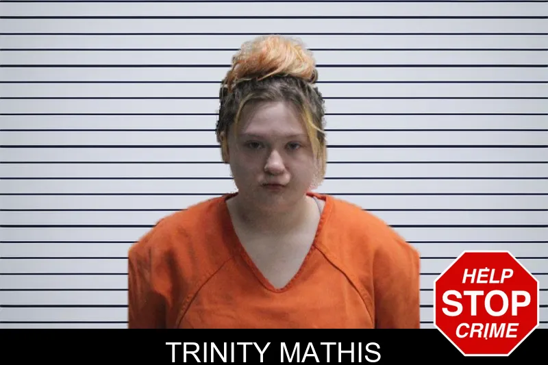 Trinity Mathis mugshot – Murray County , Georgia Trinity Mathis mugshot