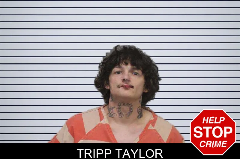 Tripp Taylor mugshot