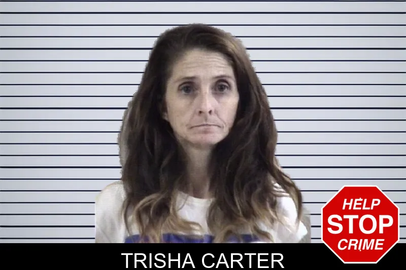 Trisha Carter mugshot