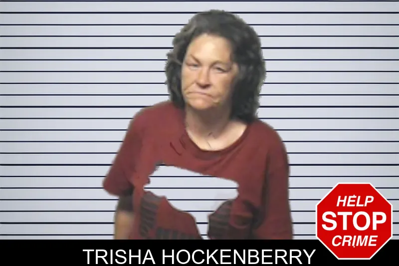 Trisha Hockenberry mugshot