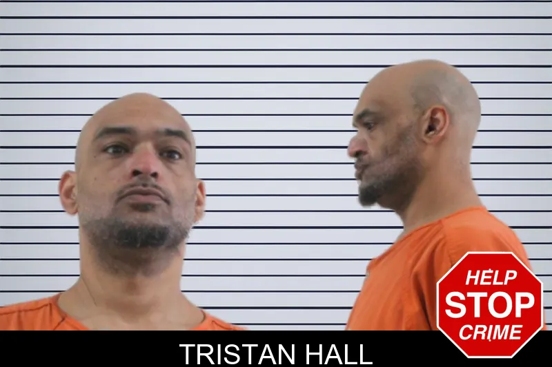 Tristan Hall mugshot