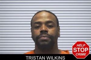 Tristan Wilkins mugshot