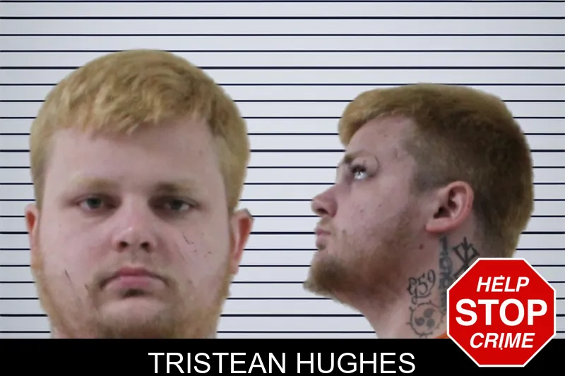 Tristean Hughes mugshot