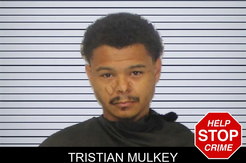 Tristian Mulkey mugshot