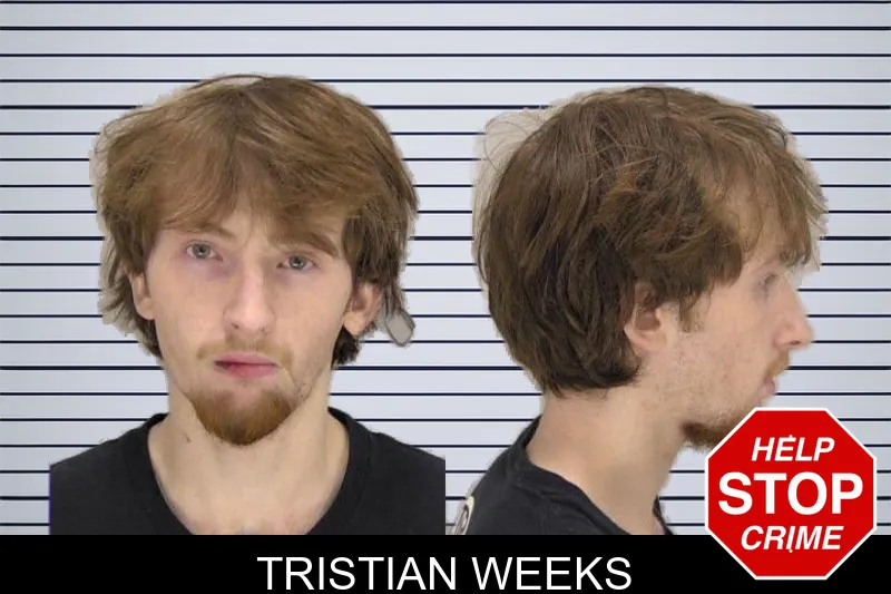 Tristian Weeks mugshot