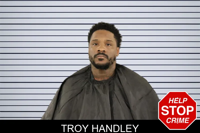 Troy Handley mugshot