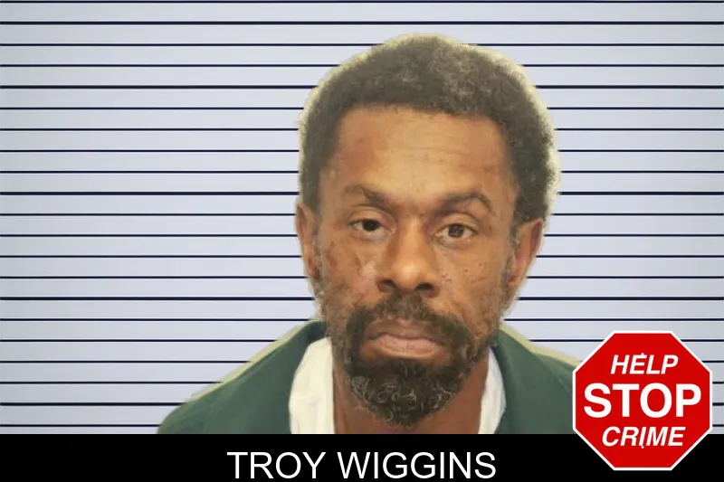 Troy Wiggins mugshot