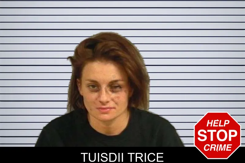 Tuisdii Trice mugshot
