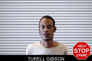 Turell Gibson mugshot