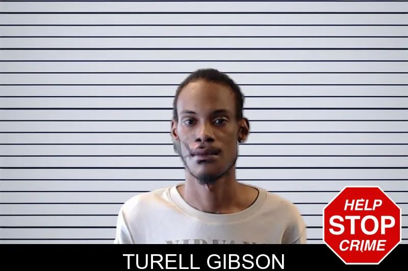 Turell Gibson mugshot