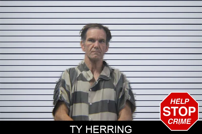 Ty Herring mugshot – Stephens County , Georgia Ty Herring mugshot