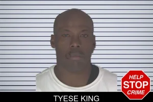 Tyese King mugshot