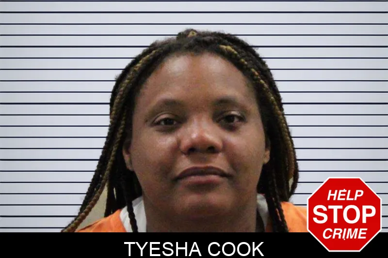 Tyesha Cook mugshot