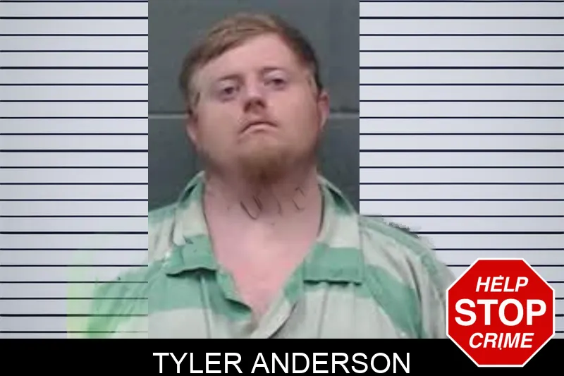 Tyler Anderson mugshot