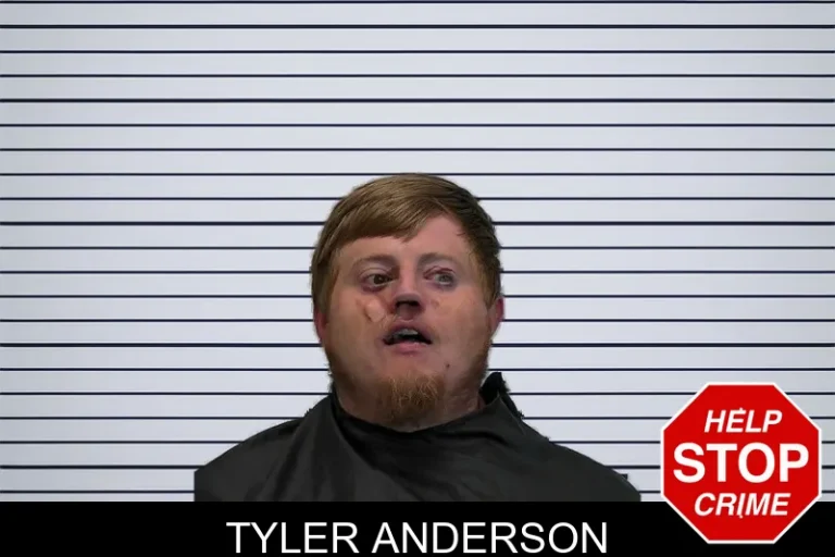 Tyler Anderson mugshot – Hart County , Georgia Tyler Anderson