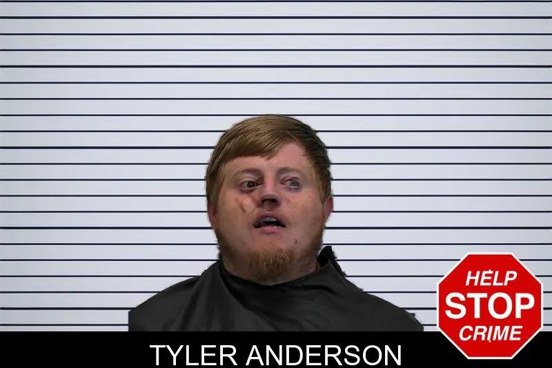 Tyler Anderson mugshot – Hart County , Georgia Tyler Anderson mugshot