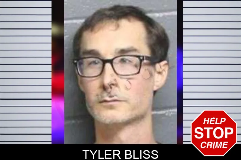Tyler Bliss mugshot – Bacon County , Georgia Tyler Bliss mugshot