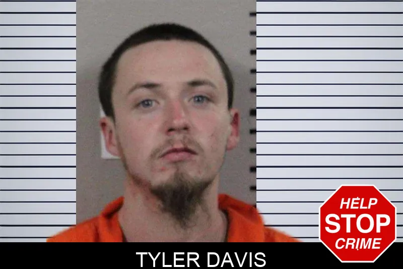 Tyler Davis mugshot – Lamar County , Georgia Tyler Davis mugshot