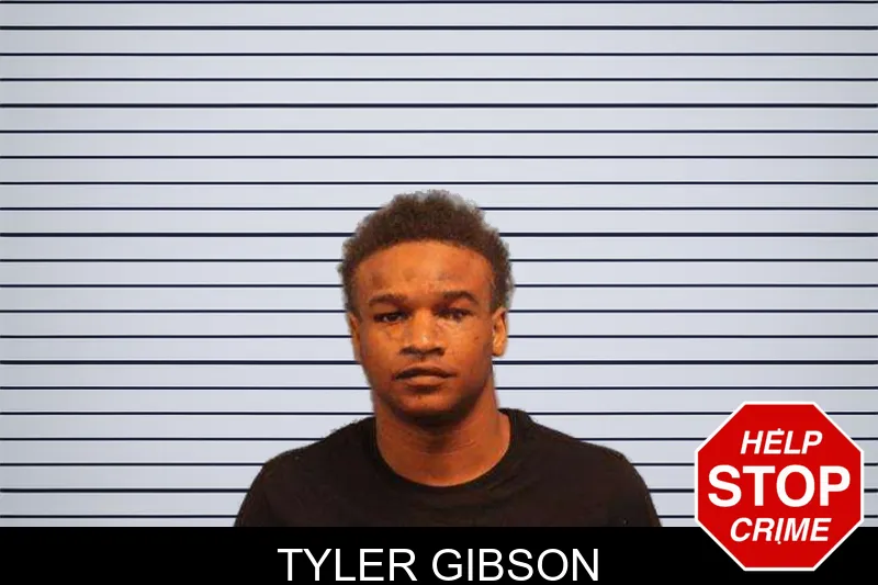 Tyler Gibson mugshot