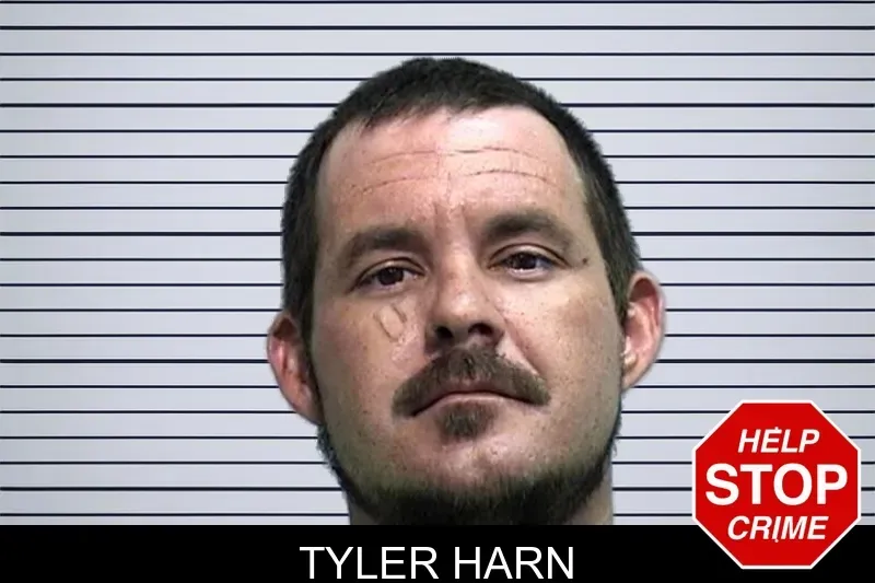 Tyler Harn mugshot