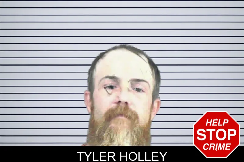 Tyler Holley mugshot