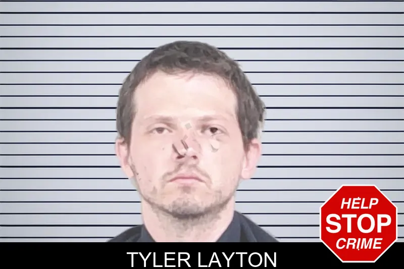 Tyler Layton mugshot – Lowndes County , Georgia Tyler Layton mugshot