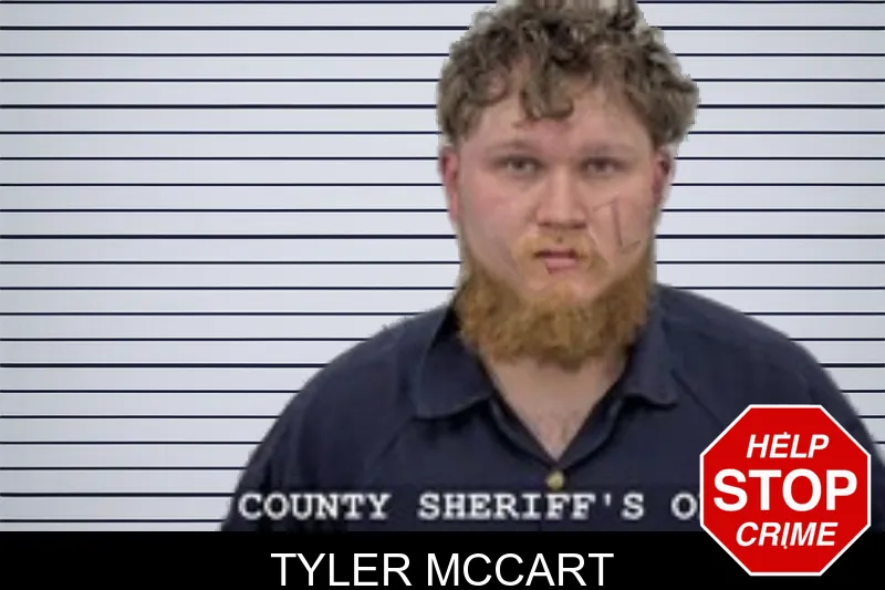 Tyler McCart mugshot