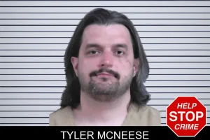 Tyler McNeese mugshot