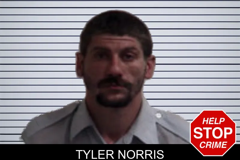 Tyler Norris mugshot