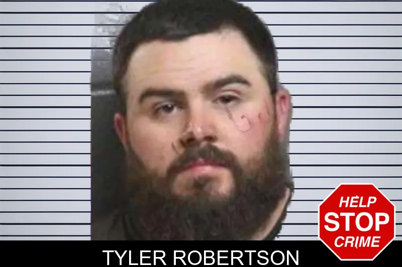 Tyler Robertson mugshot