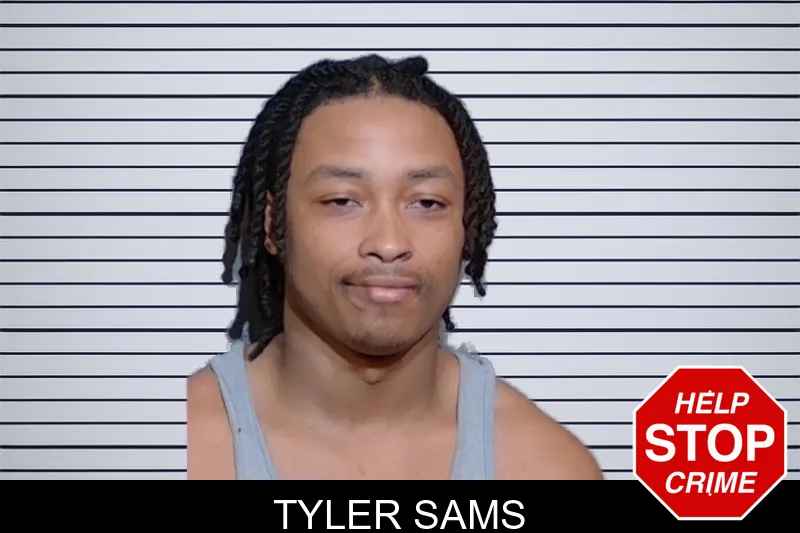 Tyler Sams mugshot – Glynn County , Georgia Tyler Sams mugshot