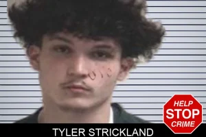 Tyler Strickland mugshot