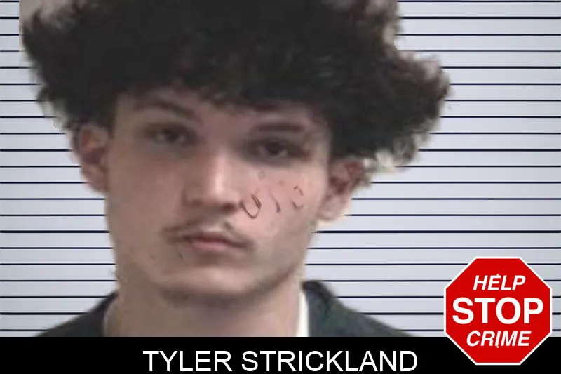 Tyler Strickland mugshot